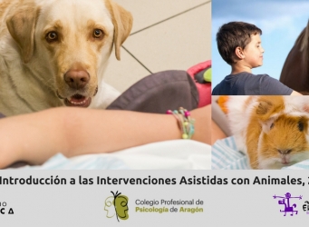 Aparecen tres momentos de IAA, con perro, caballo y cobaya