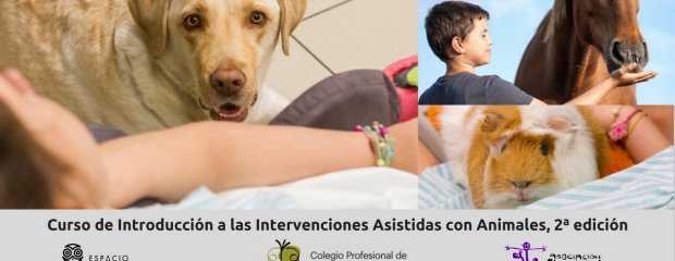 Aparecen tres momentos de IAA, con perro, caballo y cobaya