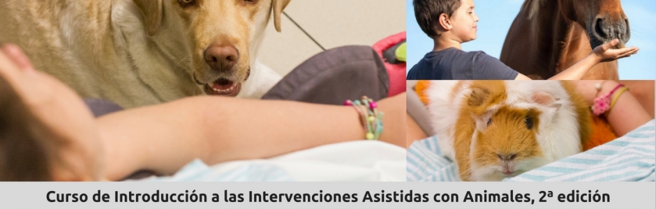 Aparecen tres momentos de IAA, con perro, caballo y cobaya