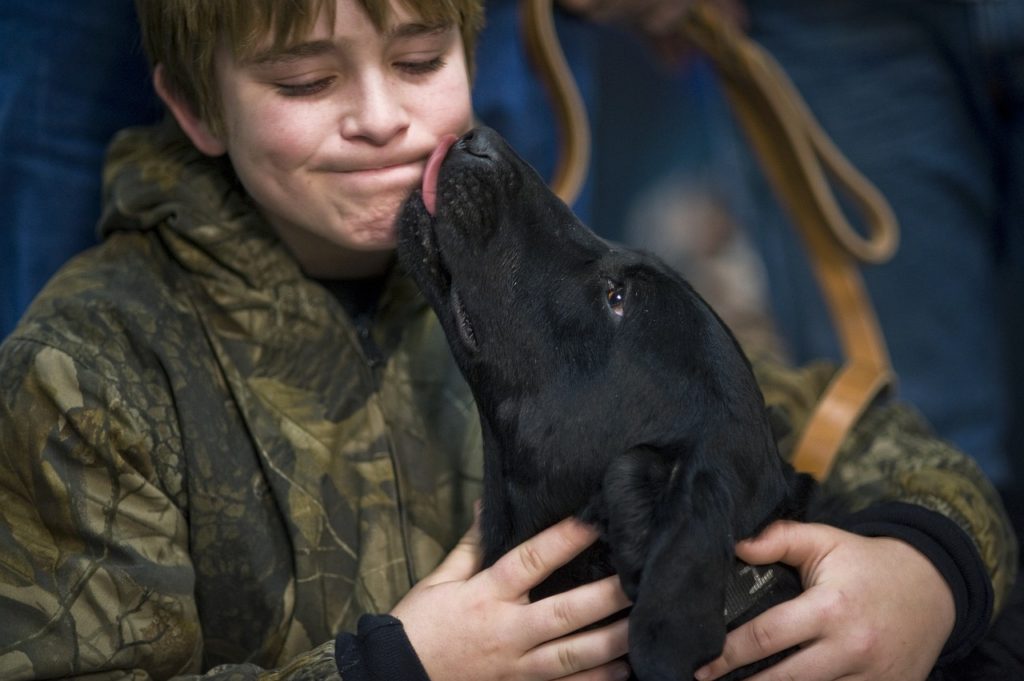 perro lame a niño que lo sujeta, riesgo de acciedente