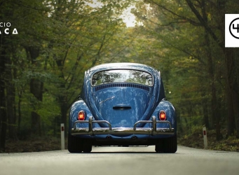 aparece un vehículo antiguo en una carretera que cruza un bosque